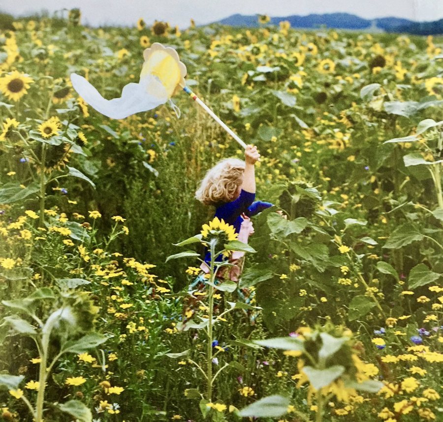 A child playing in a field of sunflowers