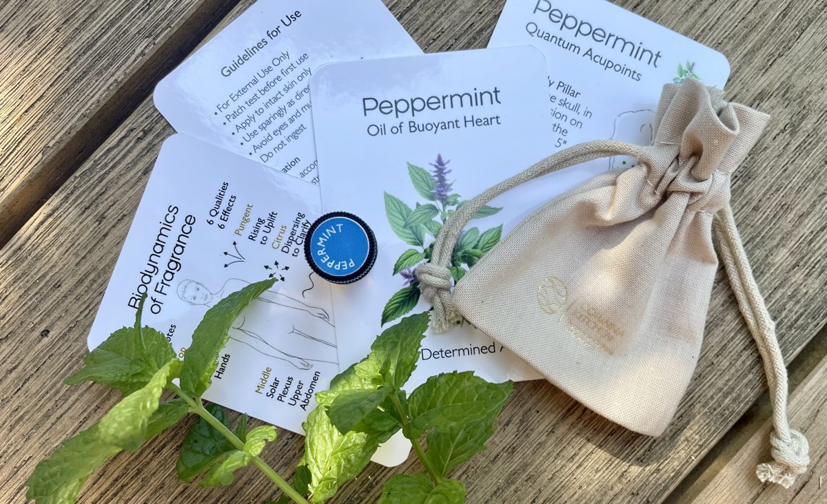 Working with the session — applying the AromaPoints
