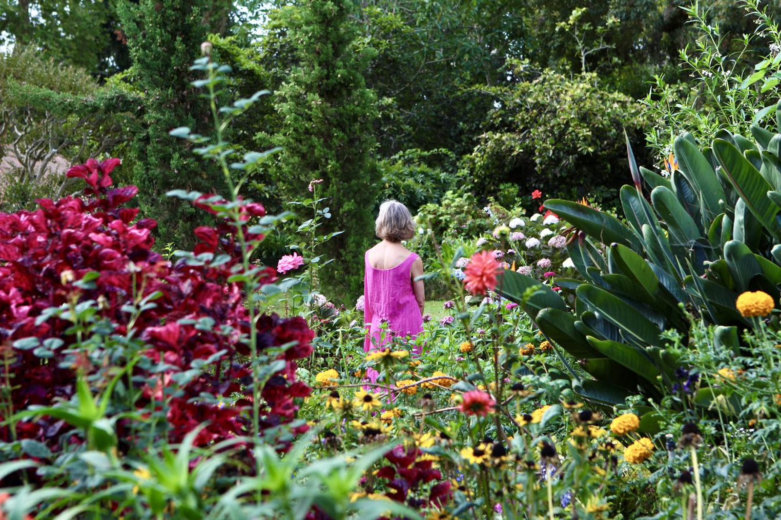 Corinna among the flowers of the Enchanted Garden