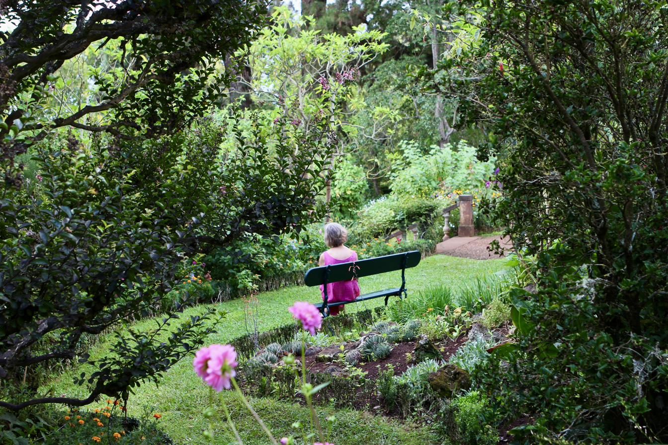A bench in the garden, a path leading on