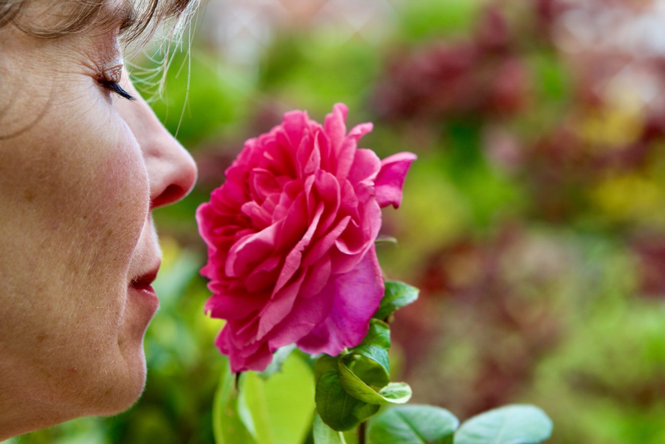 Breathing in a rose