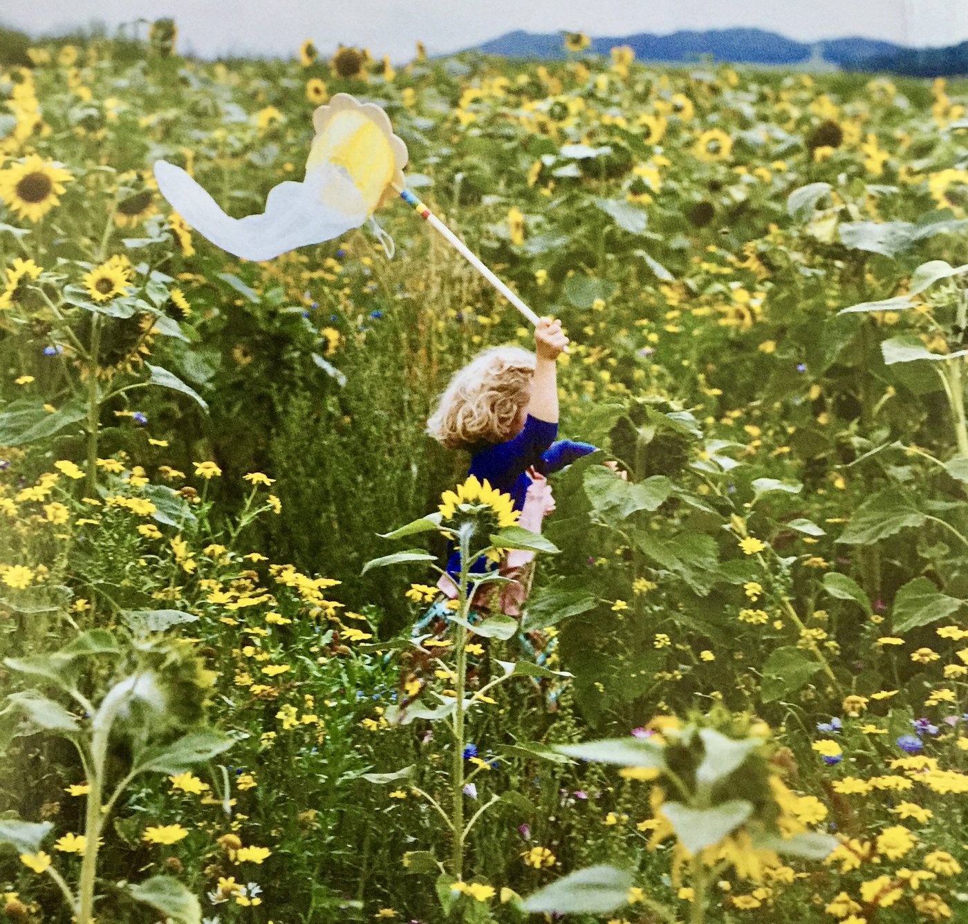 An Introduction to the Aromatic Soul Journey in Lewes