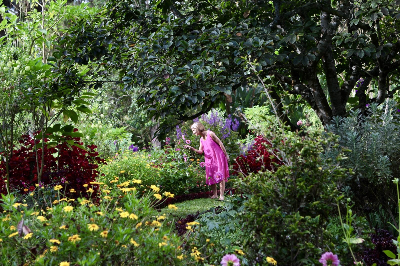 Corinna Kitchen in a garden in full bloom, drawn to a single flower